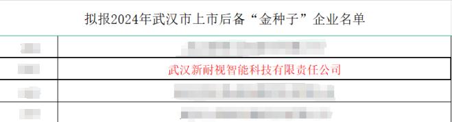 简讯:YH533388银河荣获2024年武汉市上市后备“金种子”企业! 简讯:YH533388银河荣获2024年武汉市上市后备“金种子”企业!