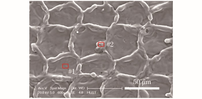 【本期推荐】铝合金激光清洗表面形貌变化的实验研究及工艺参数优化